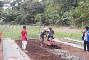 lahan praktek pemuliaan