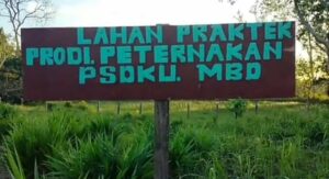 lahan praktek peternakan